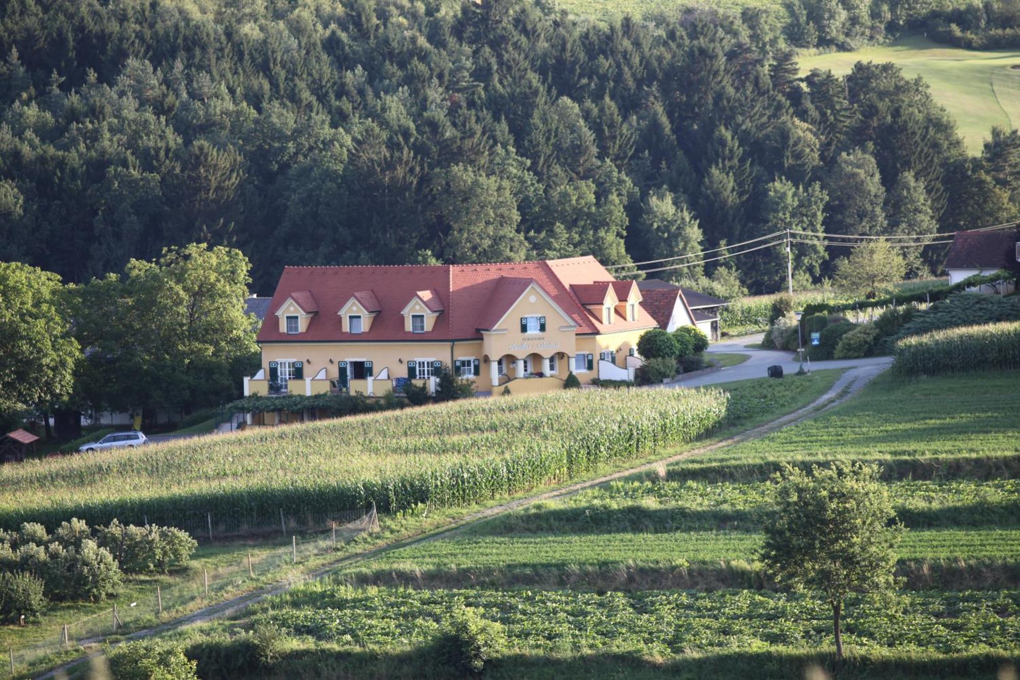 Ferienhof Uhudler-Arkaden Stegersbach Chambre photo